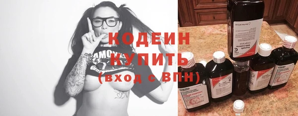 мет Няндома