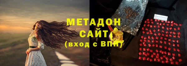 прущие грибы Нязепетровск