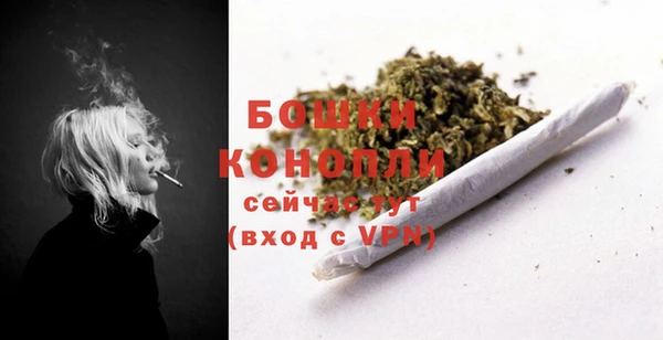 прущие грибы Нязепетровск