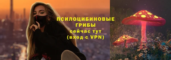 мет Няндома