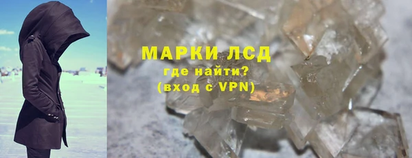 прущие грибы Нягань