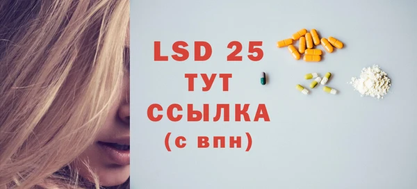 прущие грибы Нягань