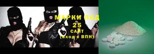 прущие грибы Нягань