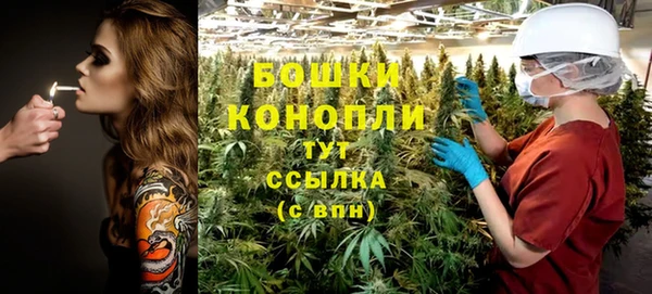 прущие грибы Нязепетровск