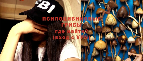 мет Няндома