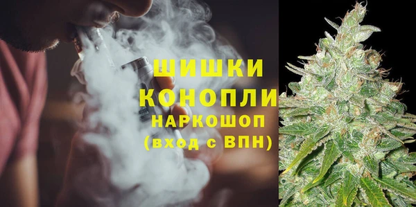 мет Няндома
