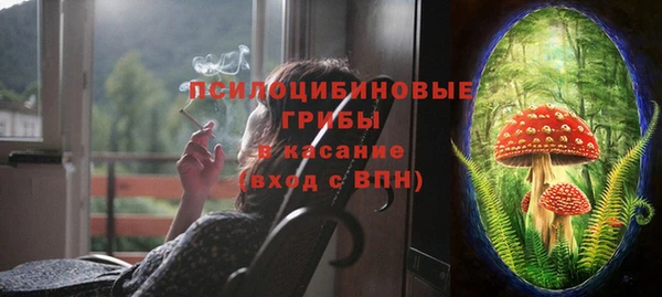 прущие грибы Нягань