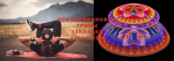 мет Няндома