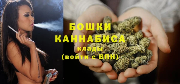 мет Няндома