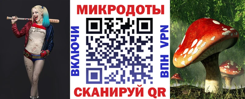 Галлюциногенные грибы Psilocybe  Куса 